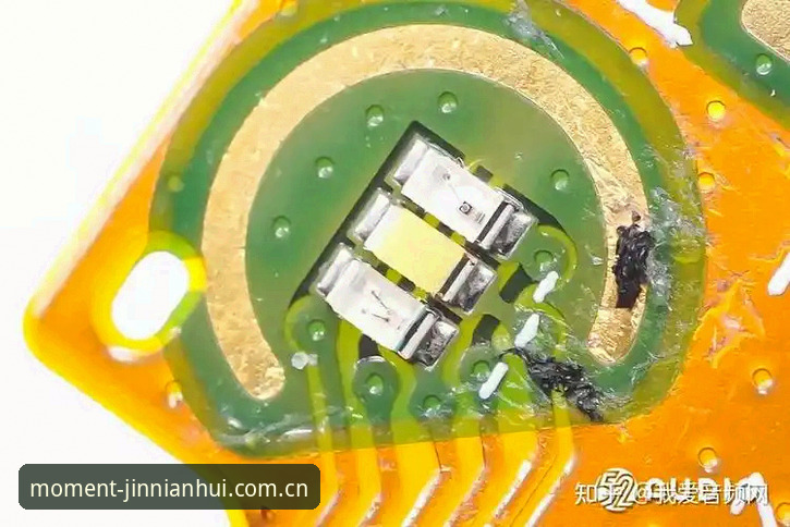 绿军字母哥交易谈判的决策链路拆解教程